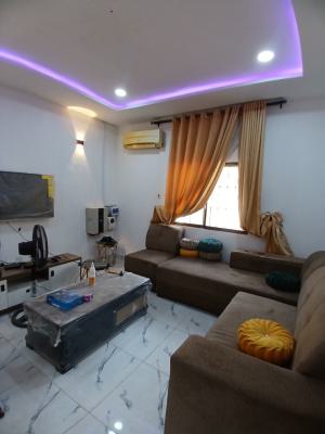 Fully Furnished and Services 1 Bedroom Bungalow, Asokoro Abuja Diplomatic Zone, Asokoro District, Abuja, Detached Bungalow for Rent