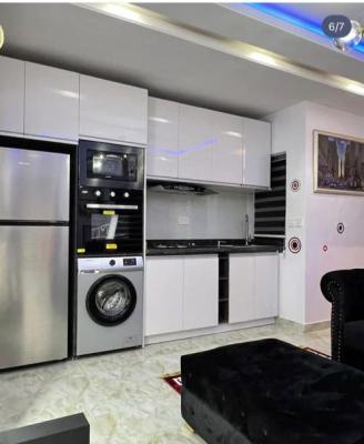 Luxury and Neat Fully Furnished Mini Flat in a Good Location, Mobile : Ilaje Road, Ajah, Lagos, Mini Flat (room and Parlour) for Rent