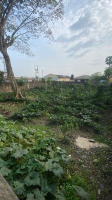 a Plot of Land (648sqm),fenced and Gated in Serene Environment, By Maltina Bus Stop, Joju., Sango Ota, Ogun, Mixed-use Land for Sale
