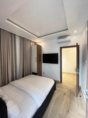 Luxury  Minimalist 1 Bedroom Apartment, Agunbiade Bankole Street, Ologolo, Lekki, Lagos, Flat / Apartment for Rent