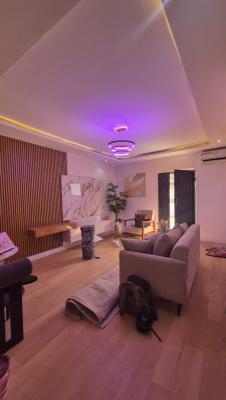Luxury & Spacious 1 Bedroom Apartment with Solar That Powered The Acs, Off Sobo Arobiodun Street Gra Ikeja, Ikeja Gra, Ikeja, Lagos, Mini Flat (room and Parlour) for Rent