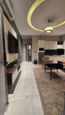 Luxurious 2 Bedroom Apartment for Ur Best Experience in This Season, Off  Issac John Street Gra Ikeja Lagos., Ikeja Gra, Ikeja, Lagos, Flat / Apartment Short Let