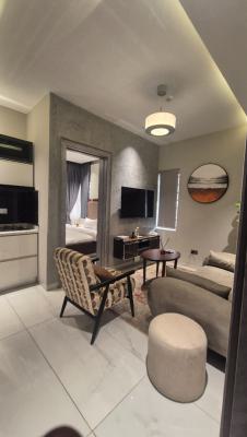 Luxurious 2 Bedroom Apartment with Elevator & Private Balcony, Off Sobo Arobiodun Street Gra Ikeja, Ikeja Gra, Ikeja, Lagos, Flat / Apartment Short Let