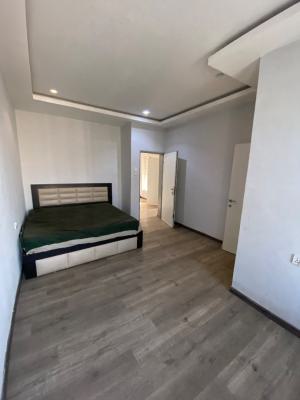 Standard 2 Bedroom Apartment with Visitors Toilet and Balcony, Along Sunnyvale Expressway, Galadimawa, Abuja, Flat / Apartment for Rent