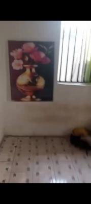 Mini Flat, Sunnyvila, Ado, Ajah, Lagos, Mini Flat (room and Parlour) for Rent