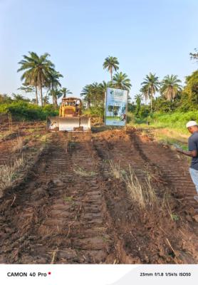 Agricultural Land Opportunity, Adàbà Coconut Farm, Obafemi Owode, Ogun, Commercial Property for Sale