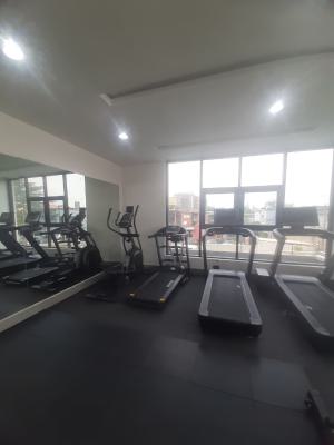 Serviced with 24/7 Power Supply 4 Bedroom En-suite Townhouse, Ikoyi, Lagos, Terraced Duplex for Rent