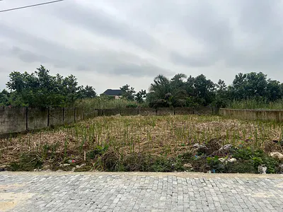 Land in a Very Strategic & Developed Estate — Ajah, Lagos