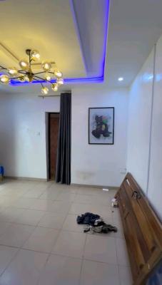 a Very Good Spacious and Superb Miniflat, Shodioe Street, Alagomeji, Yaba, Lagos, Mini Flat (room and Parlour) for Rent