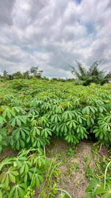 Passive-income Farmland Estate with Full Farm Management, 25 Minutes From Funaab, Heritage Farm City Phase 2, Abeokuta South, Ogun, Mixed-use Land for Sale
