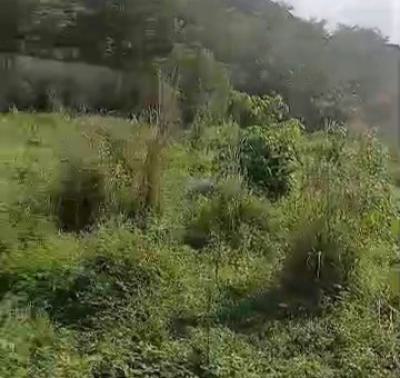 100ft By 200ft Land Title: Survey, Deed, Approval, Abuja Quarters, Off 2nd Ugbor Road Gra, Benin, Oredo, Edo, Land for Sale