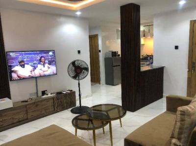 Modern and Aesthetically Pleasing 2 Bedroom Apartment, Surulere, Surulere, Lagos, Detached Duplex Short Let