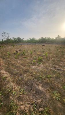 Spacious Virgin Land, Dape Close to Trem Church, Dape, Abuja, Residential Land for Sale