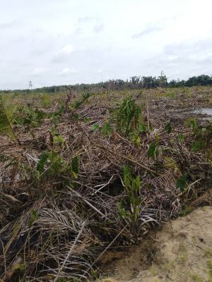 Affordable Dry Land, Igboye Boundary Between Ogun State and, Epe, Lagos, Land for Sale