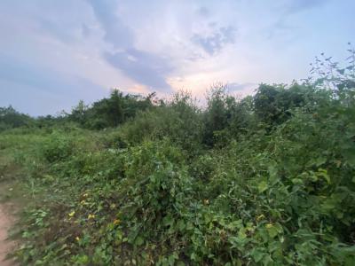 Land Size: 1200sqm, Elenusonso Gra Estate: Transformation Housing Estate, Ibadan, Oyo, Residential Land for Sale