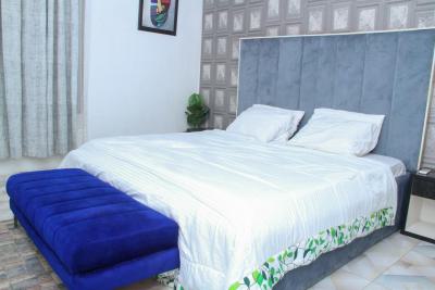 Furnish Room and Parlor in Bera Estate in Chevron, Bera Estate, Lekki, Lagos, Mini Flat (room and Parlour) for Rent