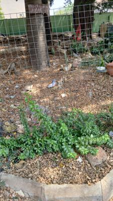 Buildable Land, Amazon, Maitama District, Abuja, Land for Sale