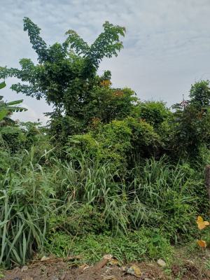 Prime 600 Sqm Land, Gra Phase 5, Nta Road, Port Harcourt, Rivers, Residential Land for Sale