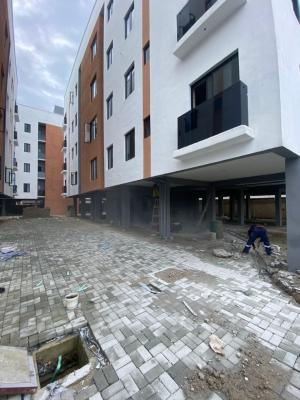 Carcass 2 Bedroom Flat Serviced Apartment, Cyberville Estate, Ikate, Lekki, Lagos, Flat / Apartment for Sale