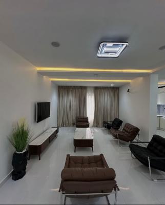 Well Built  and Furnished 3 Bedroom Apartment in  Lekki, Lekki Phase 1, Lekki, Lagos, Flat / Apartment for Sale