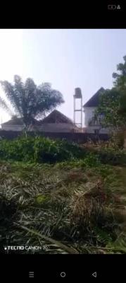 Dry Land, Opposite Beachwood Estate., Ibeju Lekki, Lagos, Land for Sale