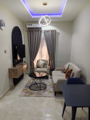 Furnished 1 Bedroom Flat, Elkana Ambore Crescent, Durumi, Abuja, Mini Flat (room and Parlour) Short Let