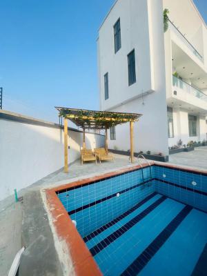 Pristine 5 Bedroom  Fully Detached with Bq and Smart Home in a Serene, Chevron, Lekki, Lagos, Detached Duplex for Sale