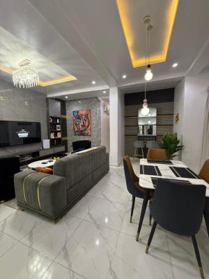 2 Bedroom Apartment in Freedom Way, Lekki Phase 1, Freedom Way, Lekki Phase 1, Lekki, Lagos, Flat / Apartment Short Let