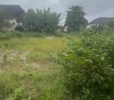 100ft By 230ft Land Title: Cofo, Akhionbare Road, Gra, Benin, Oredo, Edo, Land for Sale