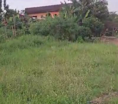 100ft By 120ft Land, Benoni Road, Gapiona, Off Airport Road Gra, Benin, Oredo, Edo, Land for Sale