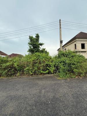 450sqm Plot of Land, Tiger Mini Estate, Ojoo, Ibadan, Oyo, Land for Sale
