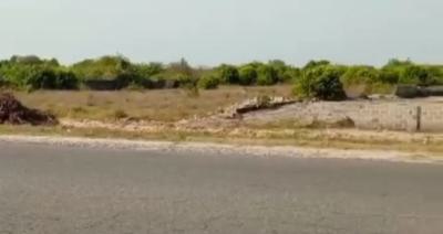 Land Measuring 20 Hectares, Free Trade Zone [ftz), Ibeju Lekki, Lagos, Mixed-use Land for Sale
