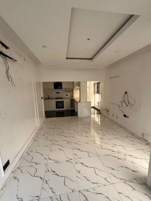 a Luxury 2 Bedroom Duplex and Bq with Top Notch Facilities, Ikate, Lekki, Lagos, Semi-detached Duplex for Rent