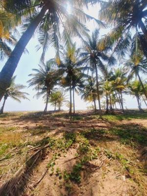 Affordable Beachfront Land, Odimi Water Side, Ado-odo/ota, Ogun, Residential Land for Sale
