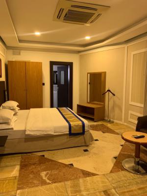 a Very Neat, Spacious and Fully Furnished 1 Bedroom Apartment, Utako, Abuja, Mini Flat (room and Parlour) Short Let