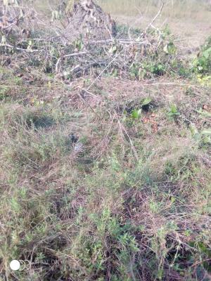 Corner Piece Dry Land, Abule Pan, Ibeju Lekki, Lagos, Land for Sale