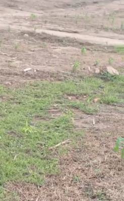 1 Hectare Plot of Land, Chorin Bisa, Karshi, Abuja, Mixed-use Land for Sale