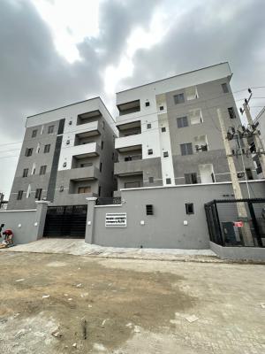 Newly Built Luxury 2 Bedroom Apartment with an Elevator and Gym, Lekki, Lekki Phase 1, Lekki, Lagos, Flat / Apartment for Sale