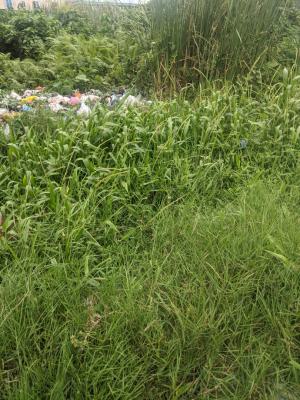 Bare Land, Megamound Estate, Ikota, Lekki, Lagos, Residential Land for Sale