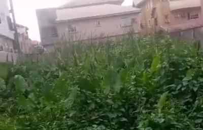 One Plot of Land, St.cyril Catholic Church Estate Off Bayo Oyewale St., Okota, Isolo, Lagos, Land for Sale