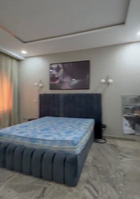 Fully Service and Beautifully Furnished Spacious 1bed in Katampe Ext, Katampe Extension, Katampe, Abuja, Mini Flat (room and Parlour) for Rent