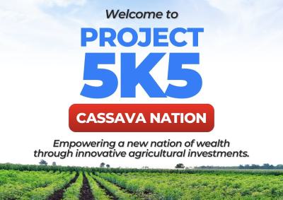 Buy Land with Cassava Plantation on It and Earn Yearly, Owode, Obafemi Owode, Ogun, Mixed-use Land for Sale