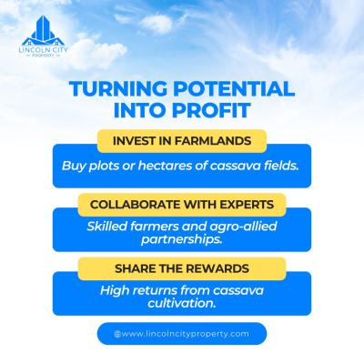 Buy Land with Cassava Plantation on It and Earn Yearly, Owode, Obafemi Owode, Ogun, Mixed-use Land for Sale