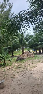 5,000 Sqm Waterfront Fourth Avenue, Banana Island, Ikoyi, Fourth Avenue, Banana Island, Ikoyi, Lagos, Banana Island, Ikoyi, Lagos, Mixed-use Land for Sale