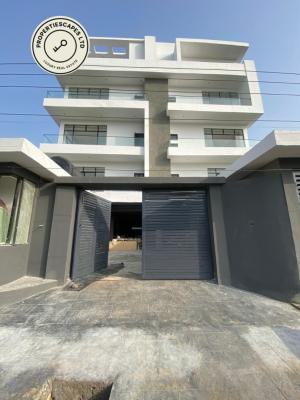 Well  Built 3 Bedroom Penthouse with Communal Pool & Elevator, Ikate, Lekki, Lagos, House for Sale