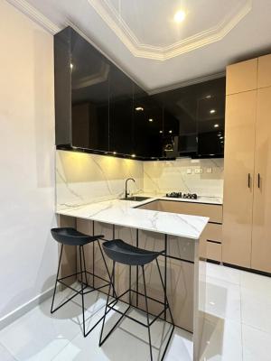 Luxuriously Furnished One Bedroom Studio Apartment, Osapa, Lekki, Lagos, Flat / Apartment Short Let