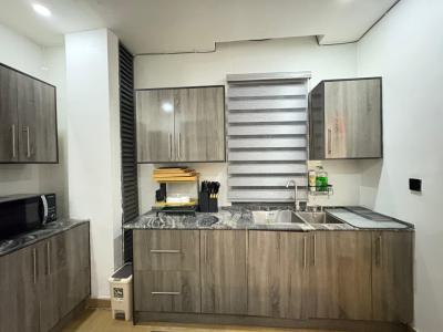 Luxurious and Beautiful Two Bedroom Apartment with Ps5, Victoria Island (vi), Lagos, Mini Flat (room and Parlour) Short Let