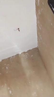 Decent and Portable Room Self Con Available at Bokku Mart @ 600k, Bokku Mart, Oworonshoki, Shomolu, Lagos, Self Contain (single Rooms) for Rent