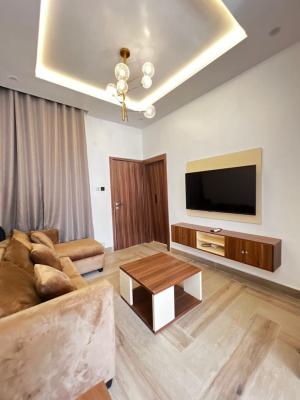 Brand New Affordable Units of 1-bedroom, Ologolo, Lekki, Lagos, Mini Flat (room and Parlour) Short Let