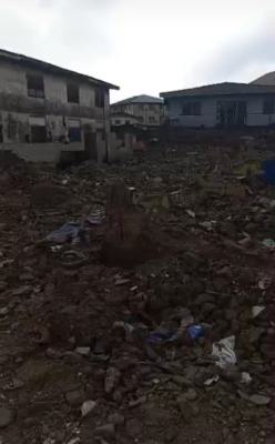 *speaking to The Mandate*    *a Vacant Full Plot of Land Measuring 517, Surulere, Lagos, Residential Land for Sale